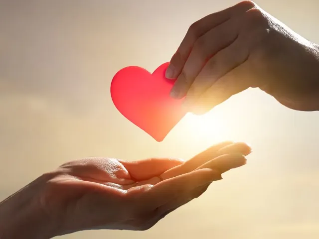 Oeuvre Caritative - Notaire-Cabinet