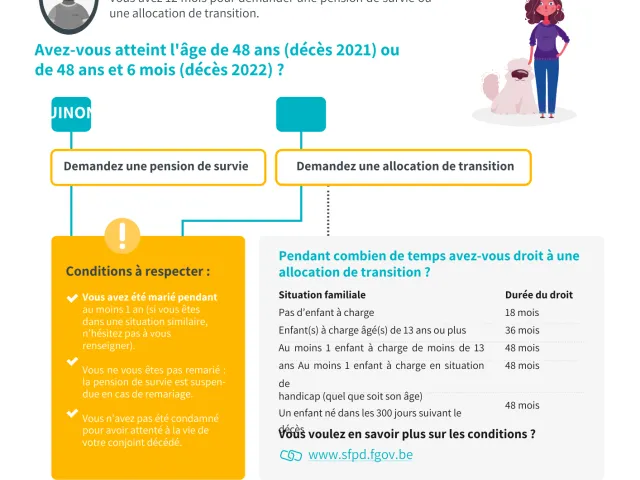 Fiche informative sur la pension de survie et l'allocation de transition en France.