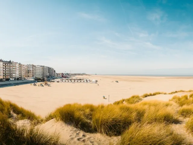Vue de la Côte belge : appartements, digue et plage.
