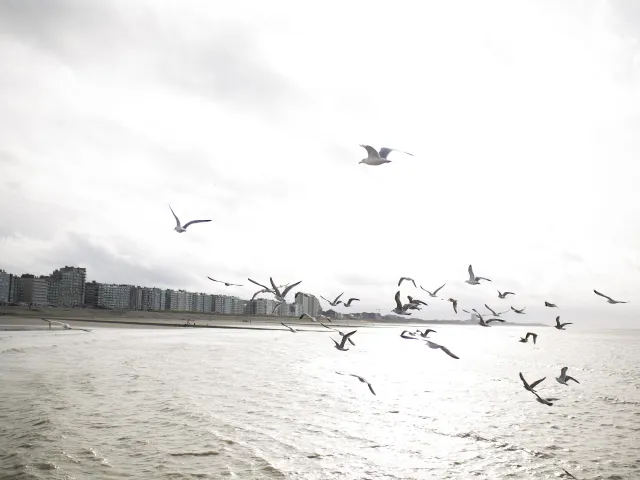 Vue des appartements sur la côte belge.